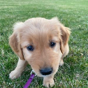 Meet your Posher, Haley